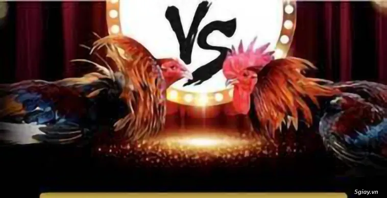 Trải Nghiệm Đỉnh Cao Đá Gà 188Loto Sân Chơi Uy Tín Bậc Nhất