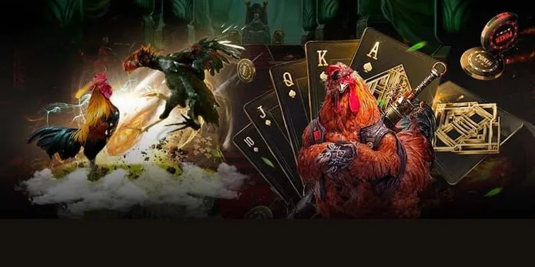 Chinh Phục Sảnh Đá Gà GA28 Tại 188Loto Với Chiến Thuật Bất Bại