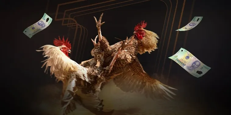 Trải Nghiệm Đỉnh Cao Đá Gà 188Loto Sân Chơi Uy Tín Bậc Nhất